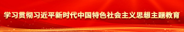 美BB视频学习贯彻习近平新时代中国特色社会主义思想主题教育